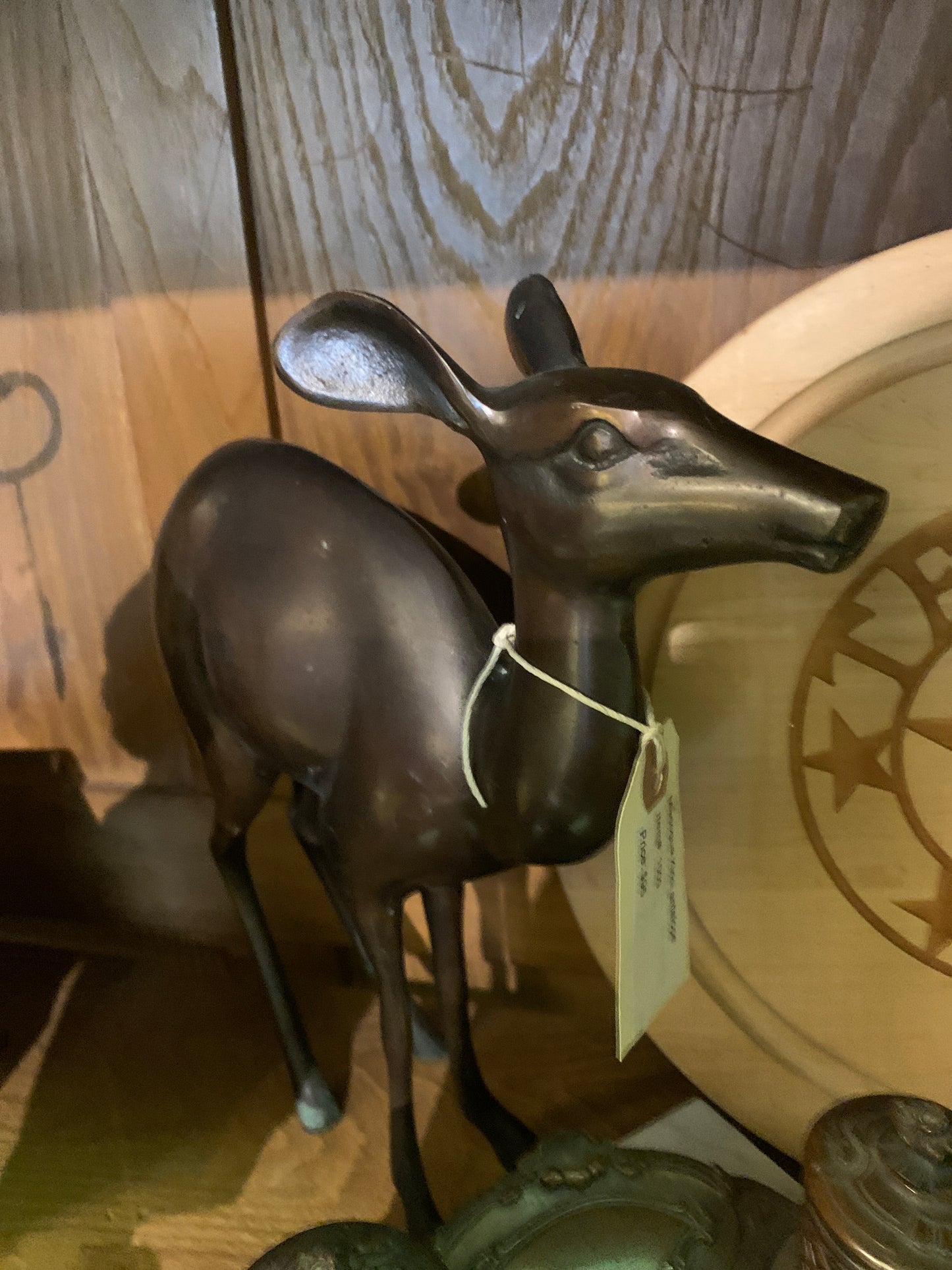 1009. Madouga Kirkii antelope