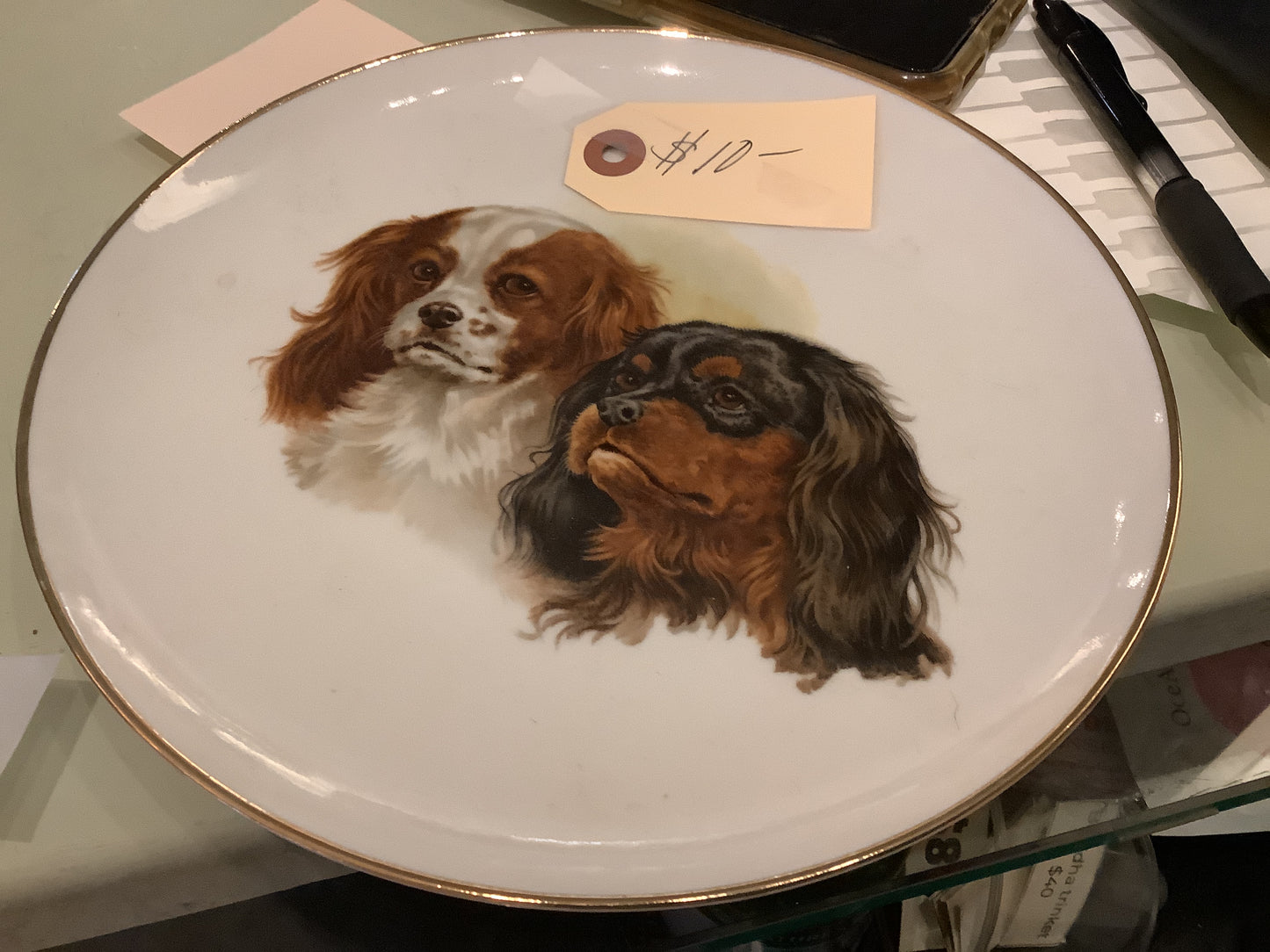 Cavalier plate