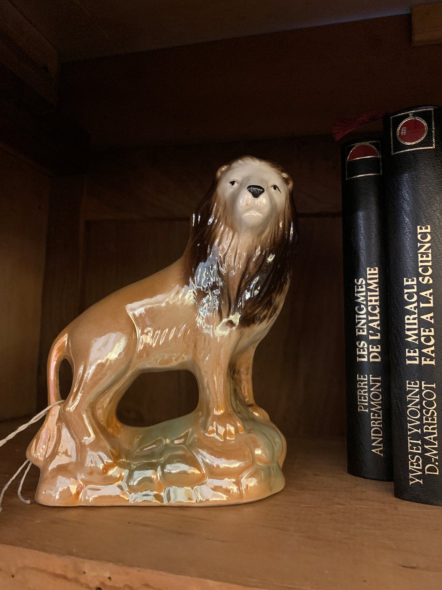 188. Luster lion