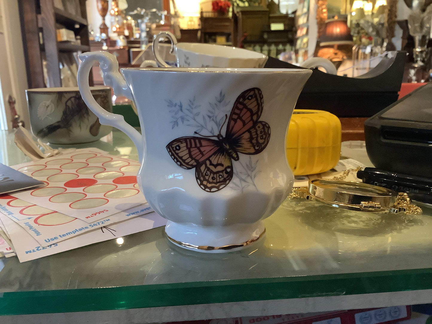 Royal Dover butterfly