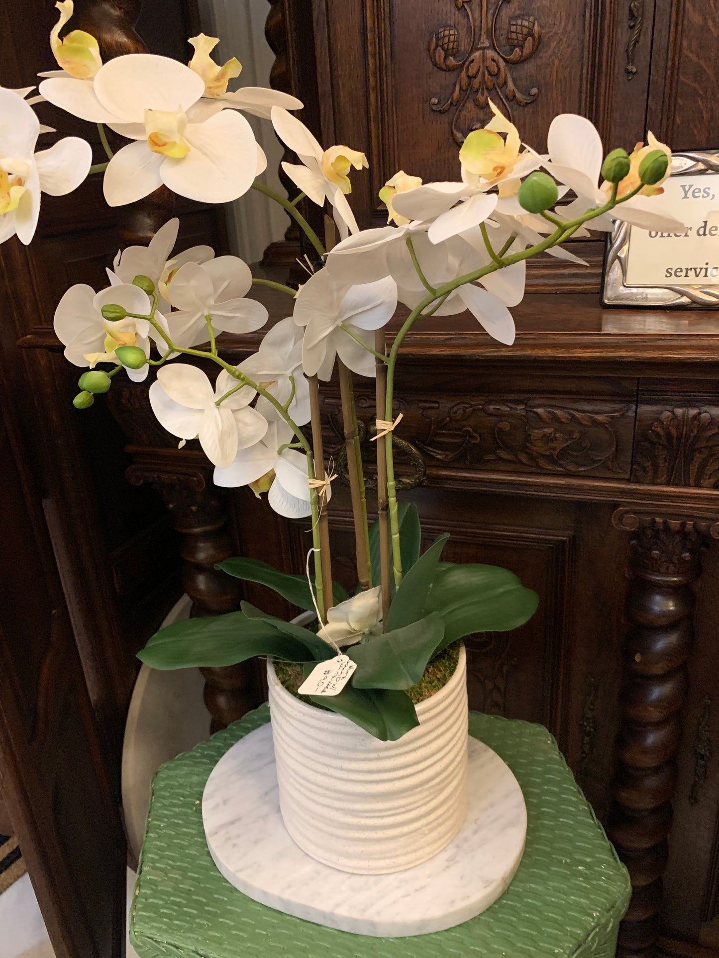 White orchid/ceramic vase