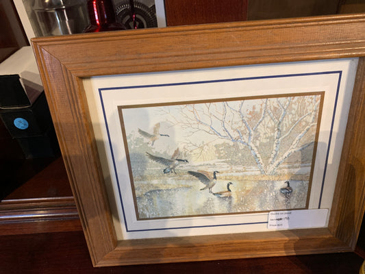 198. Ducks on pond