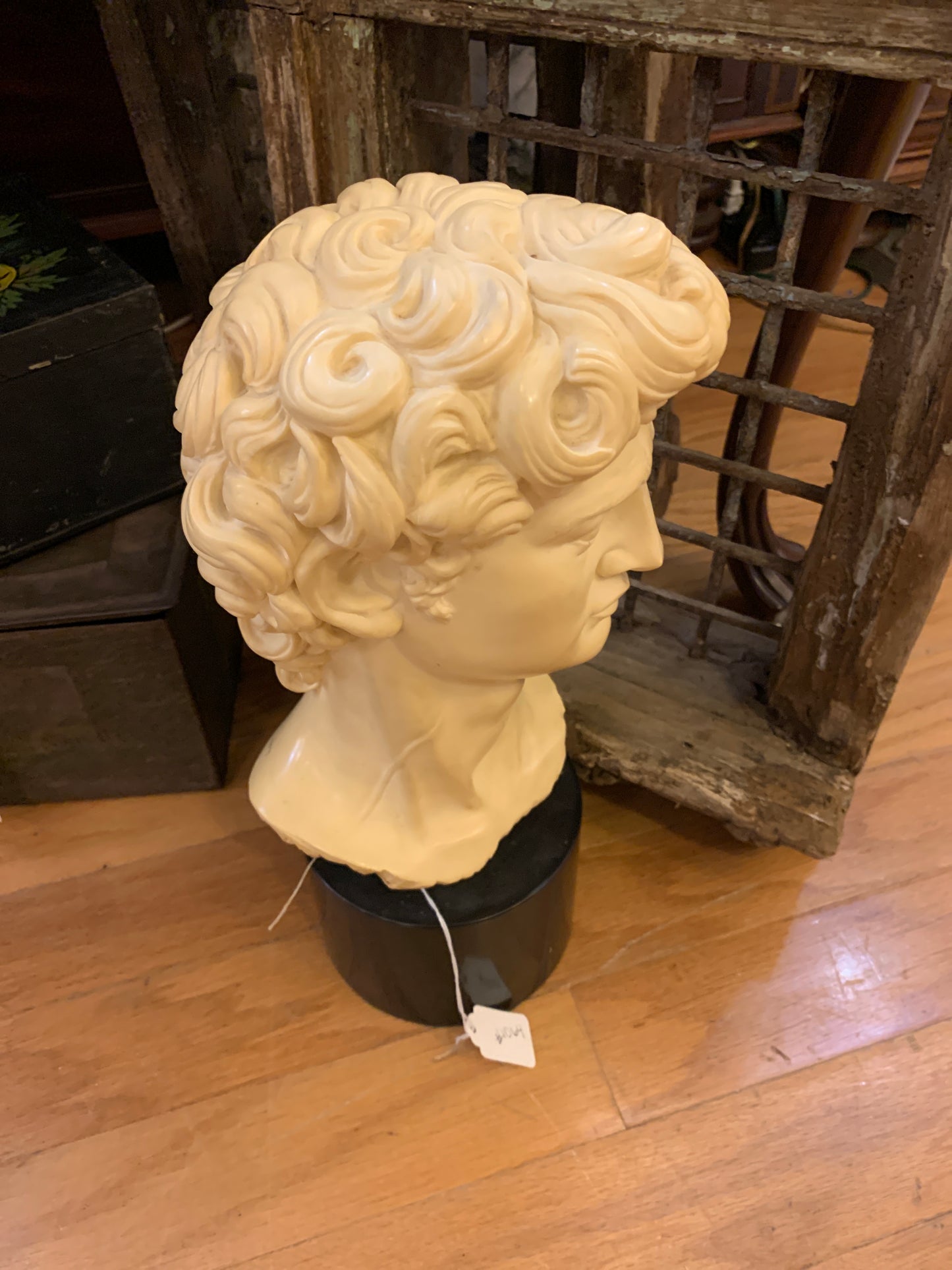 1064. Bust of David