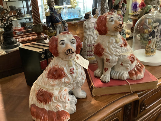 268. Large staffordshire style dogs